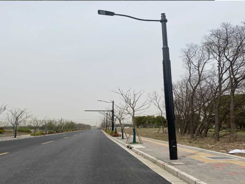 铁山区上海综合杆 太阳能路灯工程